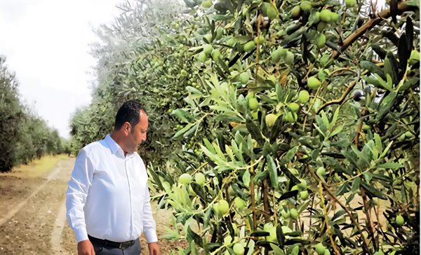 TARSUS TİCARET BORSASI, ZEYTİN VE ZEYTİNYAĞI SEKTÖR SORUNLARINI MASAYA YATIRDI