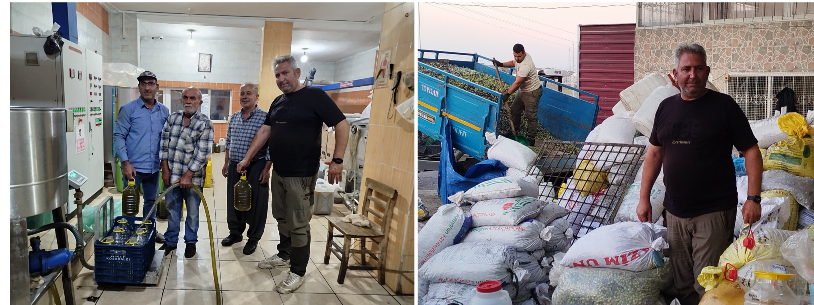 ZEYTİN ÜRETİCİLERİ ŞENDAĞ ZEYTİN YAĞI FABRİKASINDAN MEMNUN