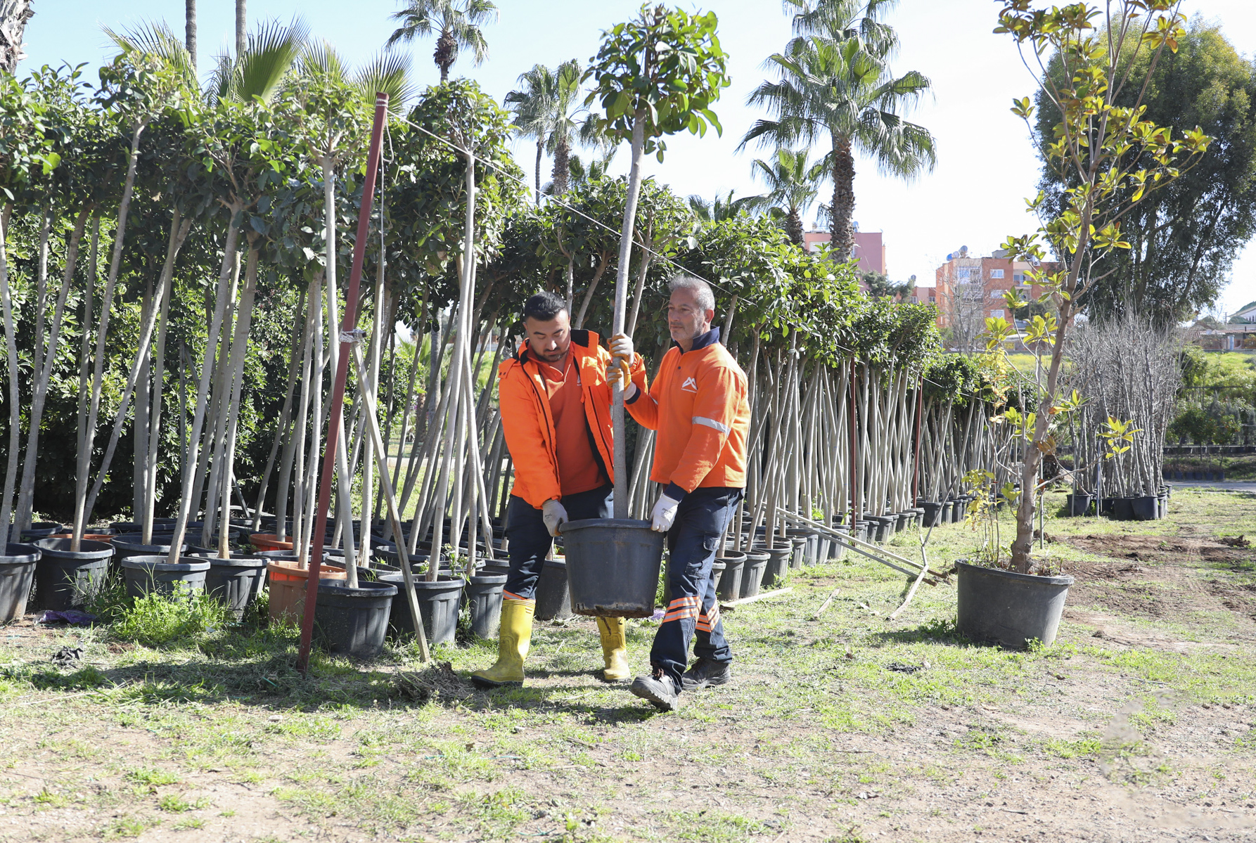 MERSİNLİLER MAVİYE VE YEŞİLE DOYUYOR