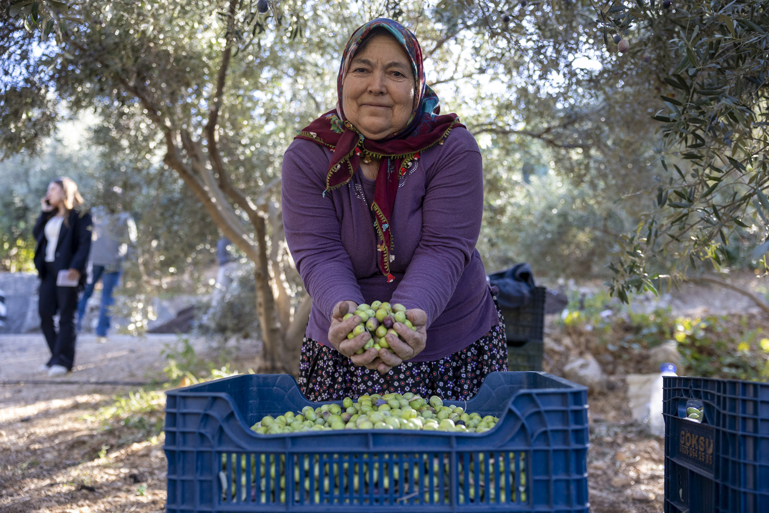 TARLADA İZİ OLAN KADINLARIN BÜYÜKŞEHİR İLE YÜZÜ GÜLÜYOR
